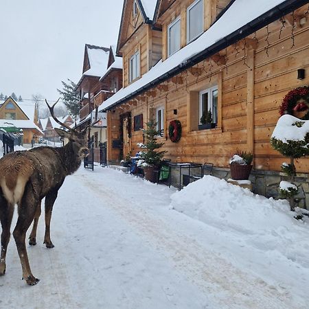 Pokoje Goscinne Benita Zakopane Exterior foto